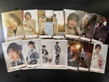 코지마 나기사 씨 브로마이드 49장 굿즈 묶음 판매