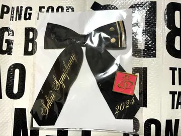 프로세카 세계 심포니 2024 비비버스 오리지널 리본 키링