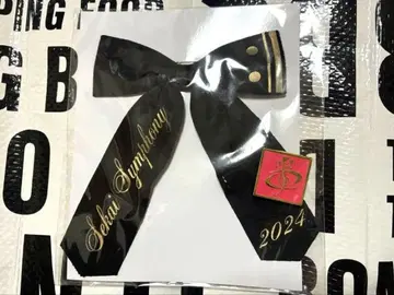 프로세카 세계 심포니 2024 비비버스 오리지널 리본 키링