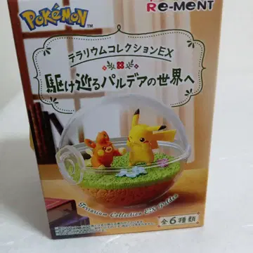 포켓몬 테라리움 컬렉션 EX 2 뜨아거