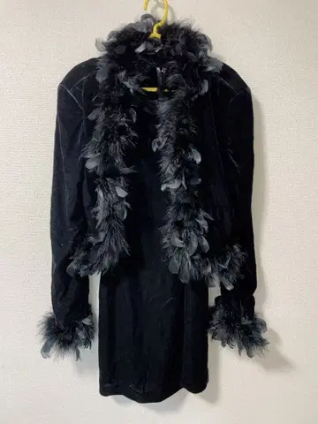 블랙 벨벳 드레스 깃털 포함