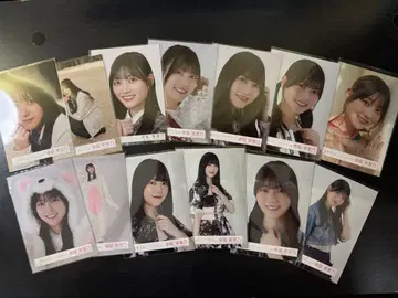 코우사카 마리노 씨 브로마이드 32장 굿즈 묶음 판매