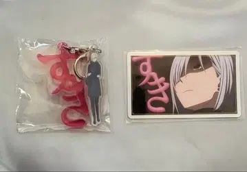 SPY x FAMILY 스파이 패밀리 usj 콜렉터블 피오나