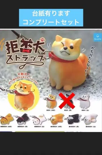 거부하는 개 세트