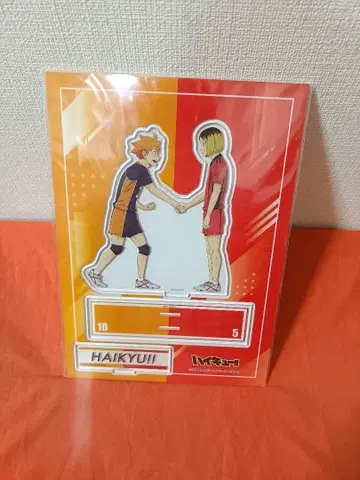 [하이큐] 아크릴 스탠드 쓰레기장의 결전 히나타 쇼요 코즈메 켄마