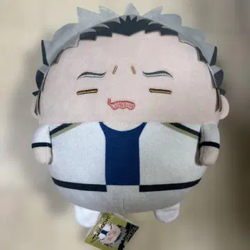 하이큐 보쿠토 코타로 후와코로링 MsizeSpecial