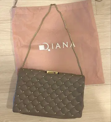 다이애나 클러치 숄더 백