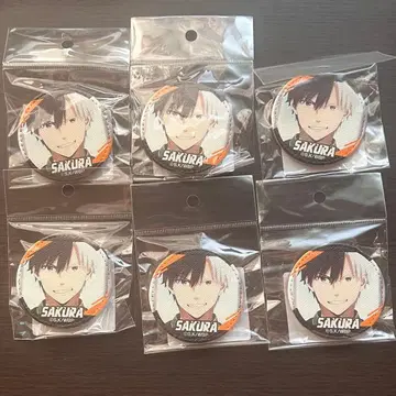 WIND BREAKER 사쿠라 하루카 가죽 배지 02 B 6개 세트
