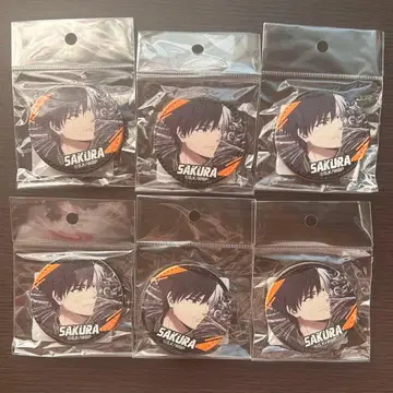 WIND BREAKER 사쿠라 하루카 가죽 배지 02 B 6개 세트