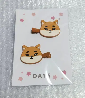 DAY6 FOREVER YOUNG 헤어 클립