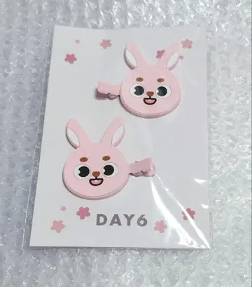 DAY6 FOREVER YOUNG 헤어 클립