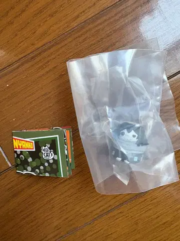 히로아카 냥코 아이자와 쇼타