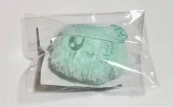 seventeen 세븐틴 new 모자 꽁지 키링