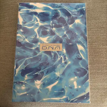 A! group LIVE TOUR 2025 D.N.A. 팜플렛