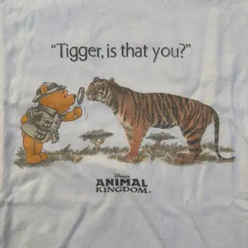 90s 디즈니 빈티지 애니멀 킹덤 푸 티셔츠