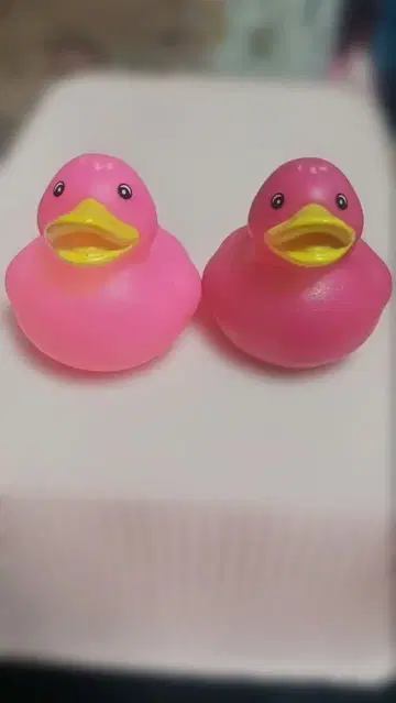 핑크 러버 덕 2개 세트