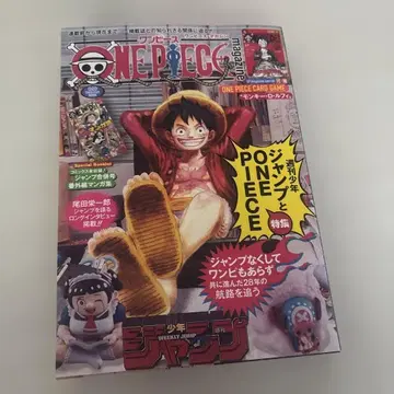 원피스 특집호 Vol.20 부속 카드 게임