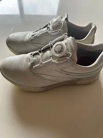 ecco 골프화 화이트 다이얼식