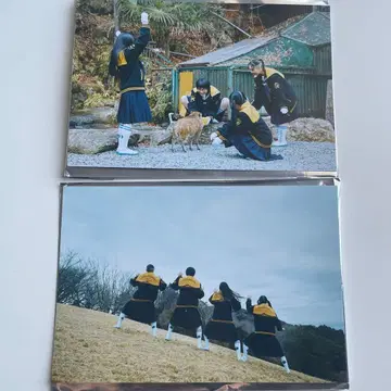 [ 새상품 ] 청춘 이노시시 영화 혜택