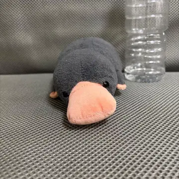 오리너구리 봉제 인형 그레이