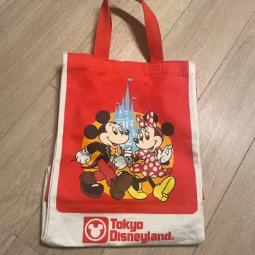 도쿄 디즈니랜드 25주년 토트백
