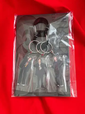 [ 새상품 ] Number_i 카라비너 포함 아크릴 키링