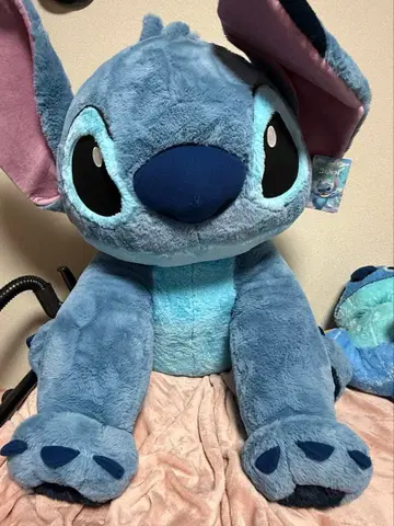 코스트코 스티치 택 포함 담요 도치기현 오야마 도치기