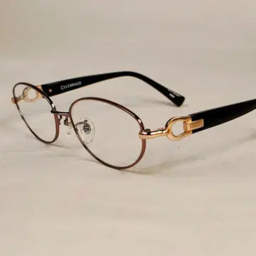 [제조사 특별 제공] 착용하면 빛나는 셀럽 프레임