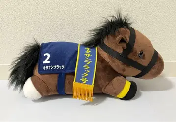 키타산 블랙 봉제 인형 아리마 기념