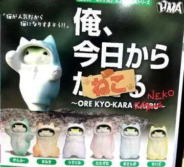 나, 오늘부터 고양이