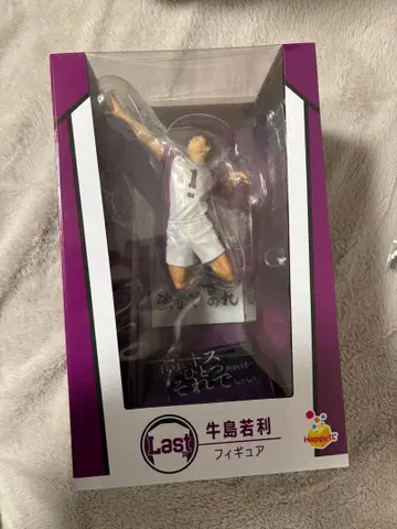 하이큐 우시지마 와카토시 피규어 라스트 원상 Happy 복권