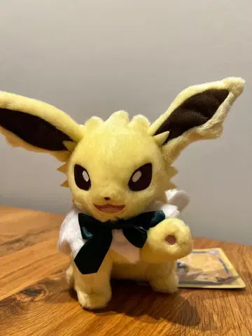 [ 24시간 이내 발송 / 익명 배송 ] 이브이 컬렉션 썬더 봉제 인형