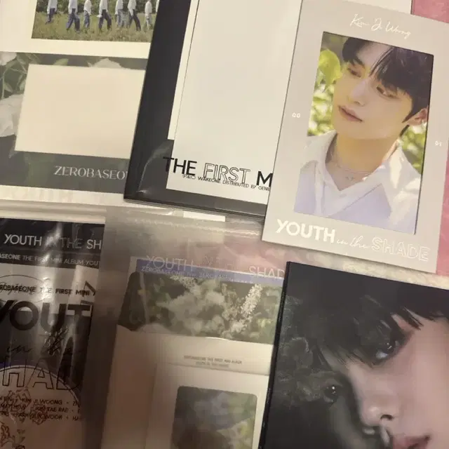 제베원 인블룸 앨범 일괄양도 김규빈 커버