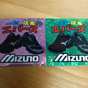 에버스 스티커 에버스 x 미즈노