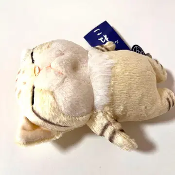 [ 새상품 미사용 ] 막대 같은 고양이 봉제 인형 약 18cm