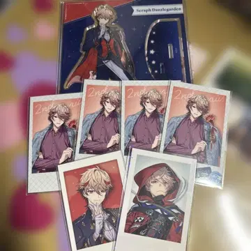 니지산지 세라프 대즐 가든 묶음 판매