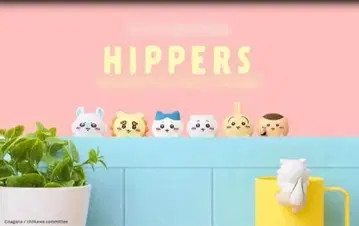 미개봉 히퍼스 치이카와 (먼작귀) 1BOX 12개입