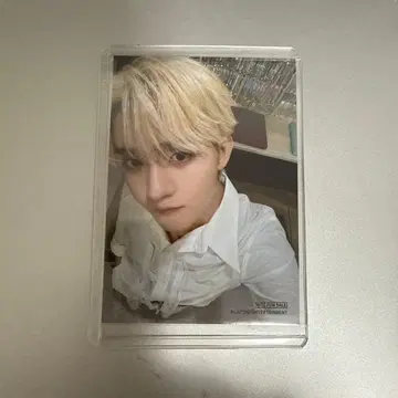 Leminofes 브로마이드 타지마 쇼고 레미노페스 INI