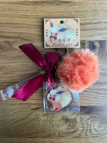 [ 24시간 이내 발송 / 익명 배송 ] 이브이 컬렉션 부스터 키링