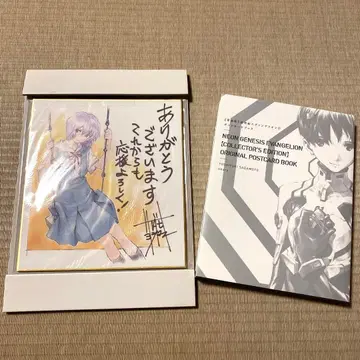 신세기 에반게리온 애장판 사다모토 요시유키