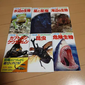 소학관의 도감 네오포켓 NEOPOCKET 6권 세트