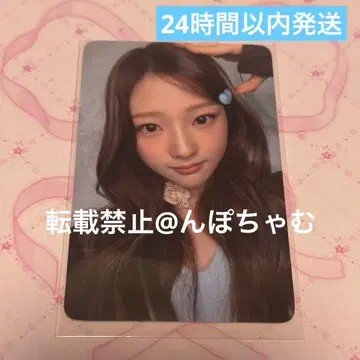 HEARTS2HEARTS FOCUS everline 트레이딩 카드 스텔라