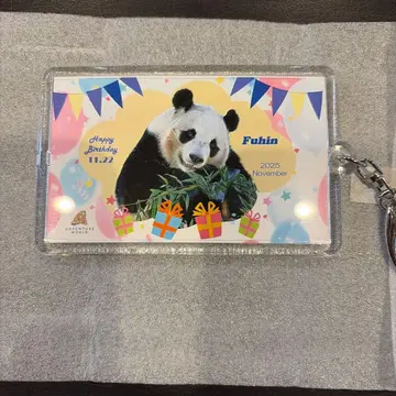 어드벤처 월드 아크릴 키링 후우힌 벌스데이 11월 한정판