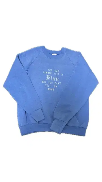 FRUIT OF THE LOOM 파랑 맨투맨 L