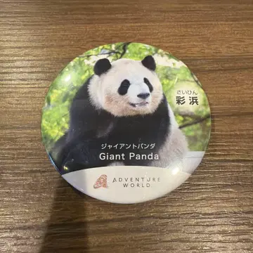 어드벤처 월드 자이언트 팬더 캔뱃지 채방