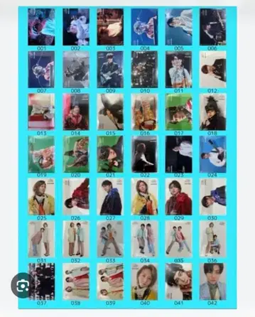 미세스 피오르 포토 카드