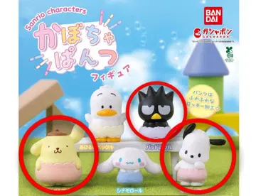 호박 바지 폼, 포차, 바츠마루 개별 가능