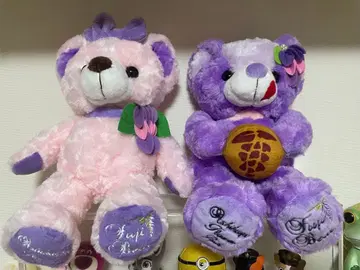 지역 한정 베어 후지 베어 봉제 인형