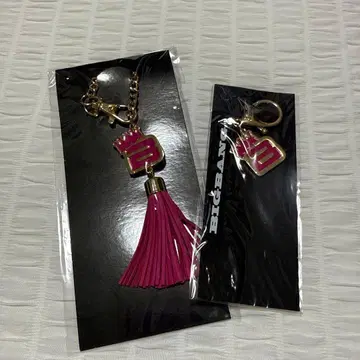 BIGBANG G-DRAGON 참 키링