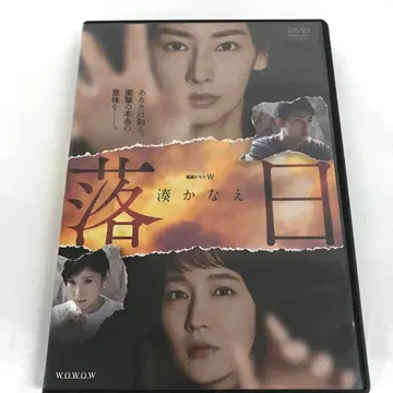 연속 드라마 W 미나토 카나에 낙일 DVD-BOX